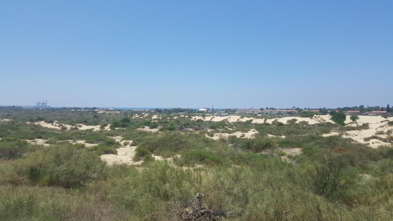 Neot Golf Caesarea Garden Apartment エクステリア 写真